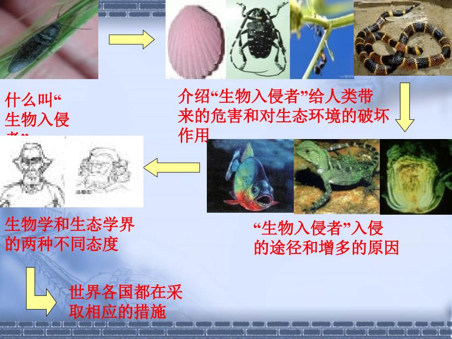 福州第十九中学何琦ppt课件_第4页