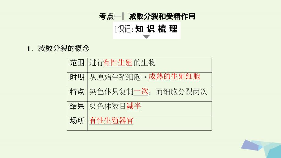 高三生物一轮复习 第4单元 减数分裂和受精作用课件 新人教必修1_第2页