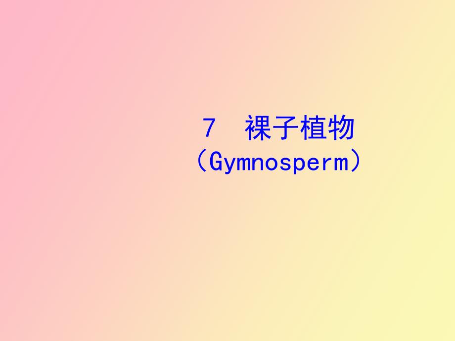 裸子植物Gymnosperm_第1页