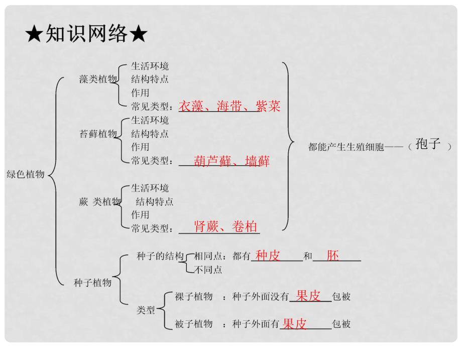 广东省河源市中英文实验学校中考生物 第三单元 第一章 生物圈中有哪些绿色植物复习课件_第2页