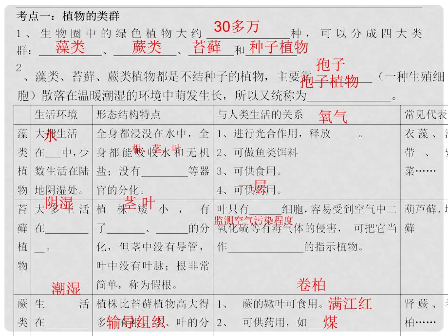 广东省河源市中英文实验学校中考生物 第三单元 第一章 生物圈中有哪些绿色植物复习课件_第3页