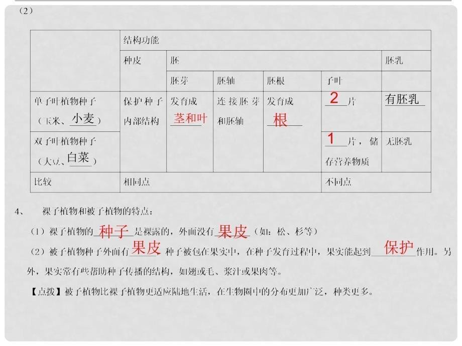 广东省河源市中英文实验学校中考生物 第三单元 第一章 生物圈中有哪些绿色植物复习课件_第5页