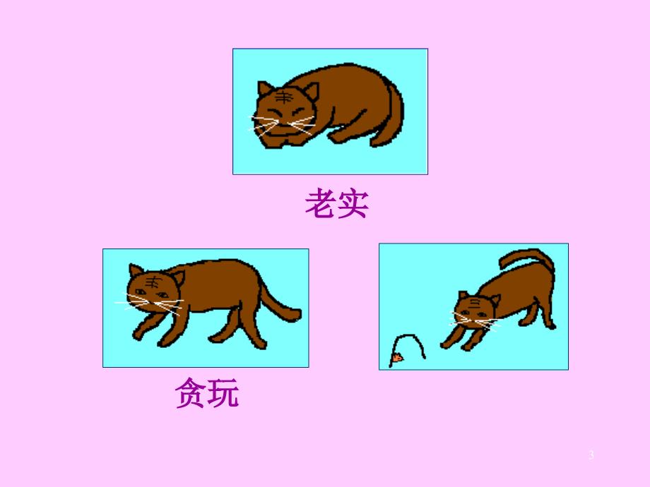 王文静猫课件_第3页