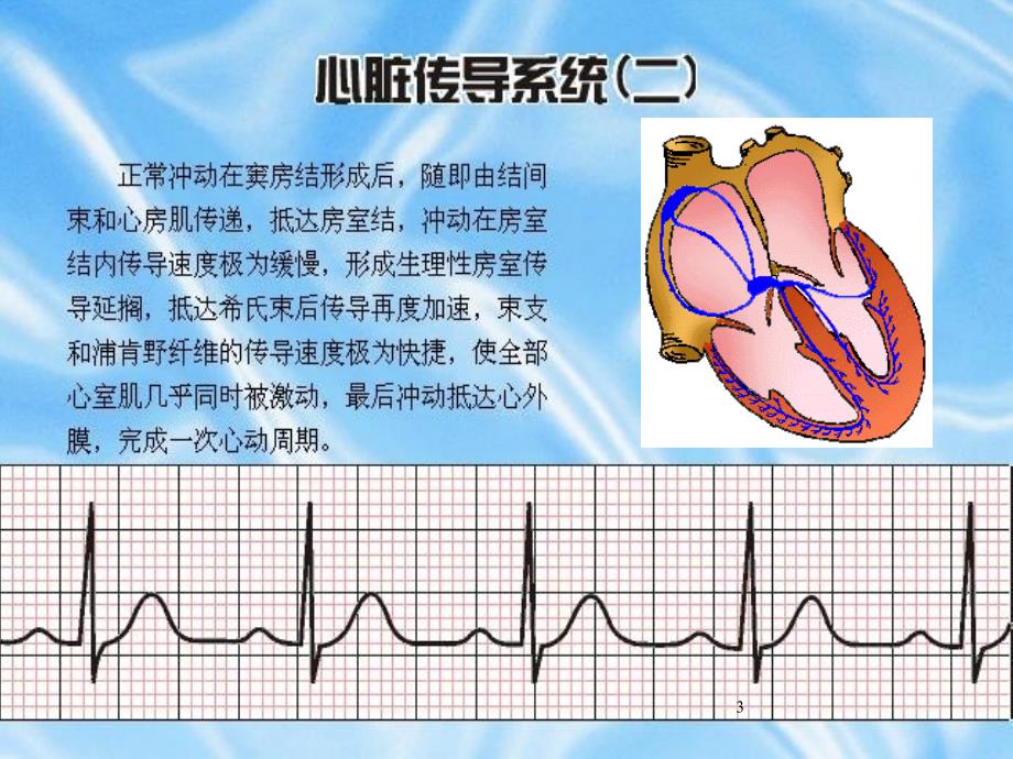 心房颤动治疗进展PPT课件_第3页