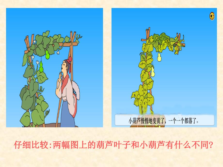 我要的是葫芦课件_第4页