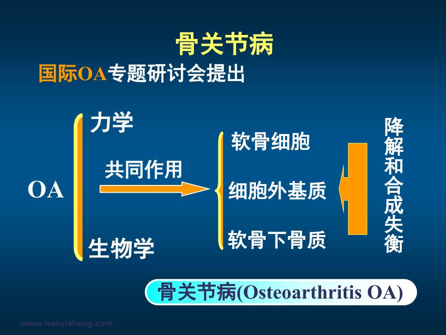 骨关节病的全方位管理课件_第4页