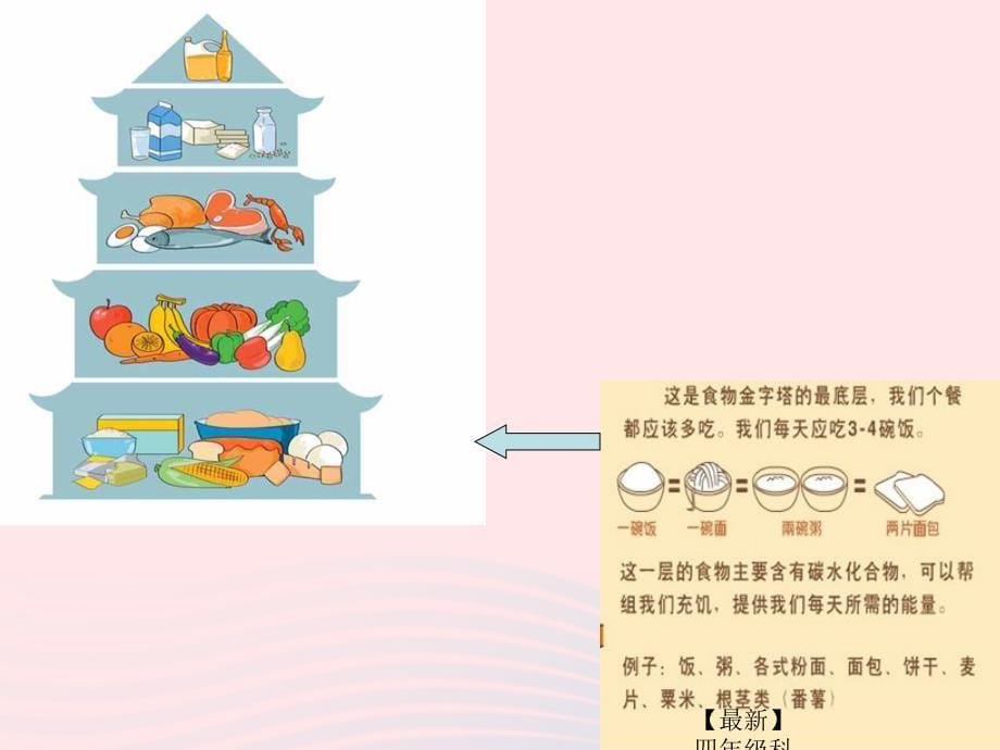 最新四年级科学下册3食物3营养要均衡课件6教科版教科版小学四年级下册自然科学课件_第5页