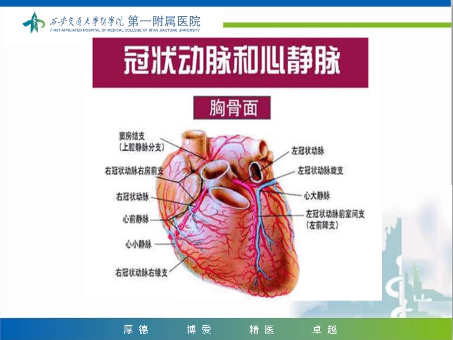 冠脉介入治疗课件_第3页