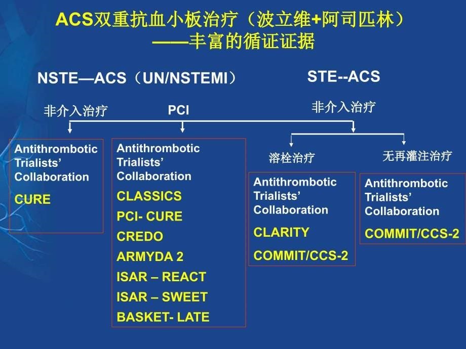 ACS患者的抗血小板治疗_第5页