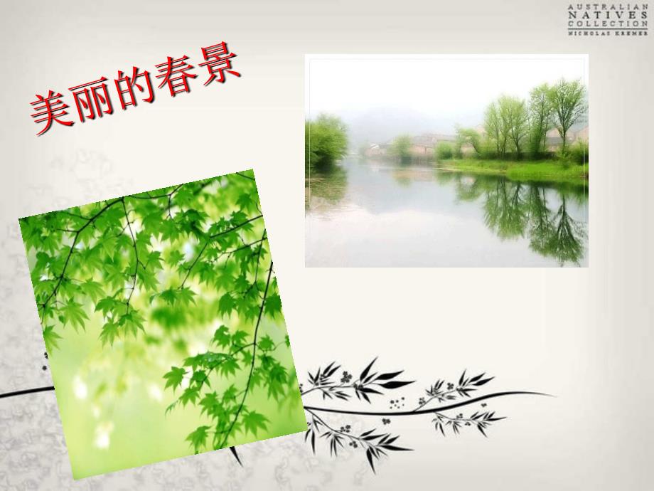 韩愈《晚春》课件.ppt_第4页