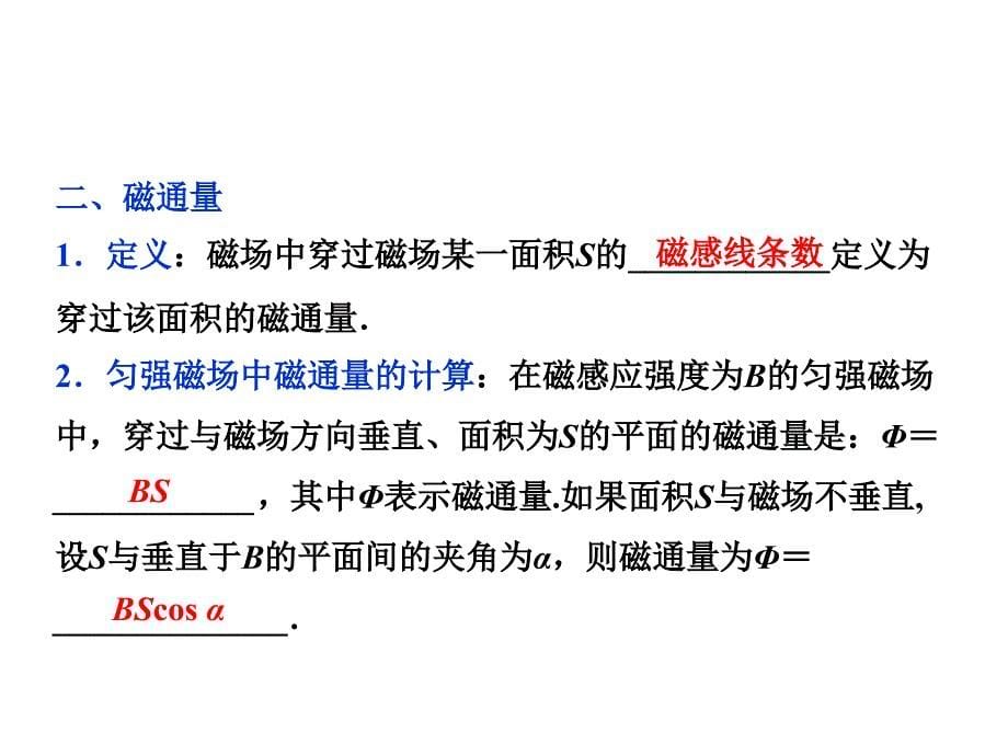 高中物理 5.35.4 磁感应强度 磁通量 磁与现代科技课件 鲁科版选修31_第5页