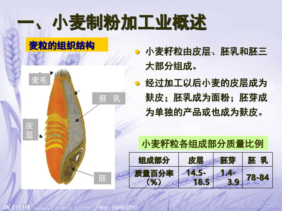 制粉加工业产品检验与分析课堂PPT_第3页