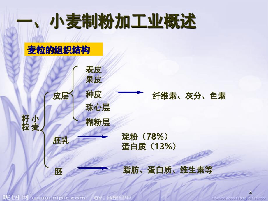 制粉加工业产品检验与分析课堂PPT_第4页