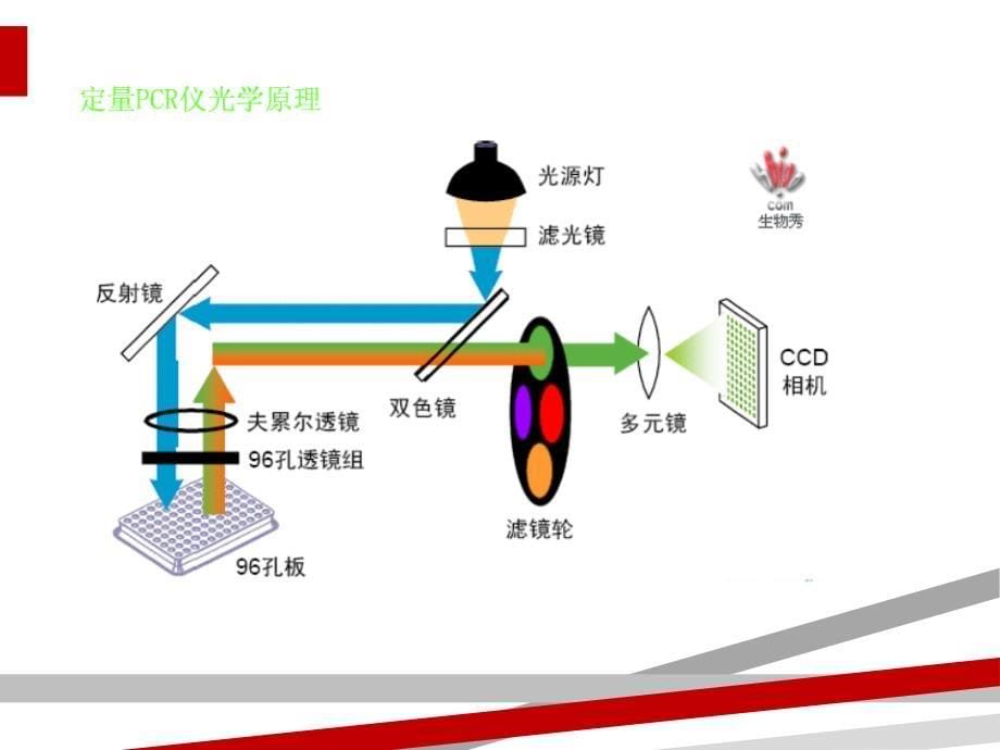 常见荧光定量PCR仪汇总课件_第5页