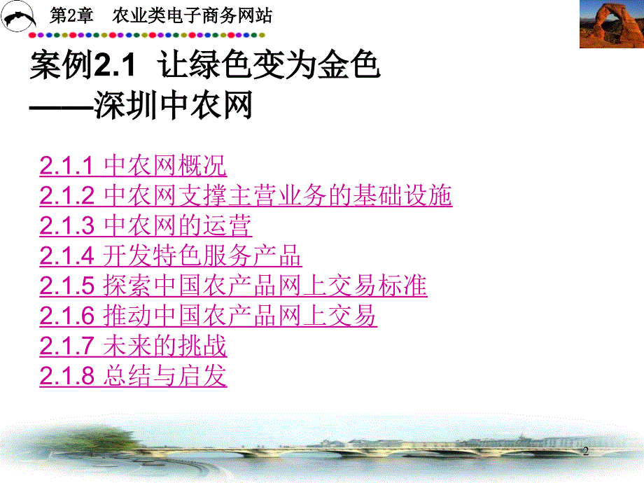 《电子商务案例分析》PPT课件.ppt_第2页