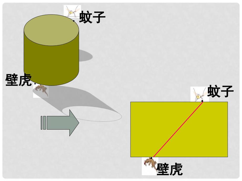 辽宁省大连市四十四中七年级数学 立体图形的平面展开图课件_第4页