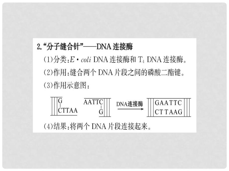 高中生物 专题1 基因工程阶段复习课课件 新人教版选修3_第4页