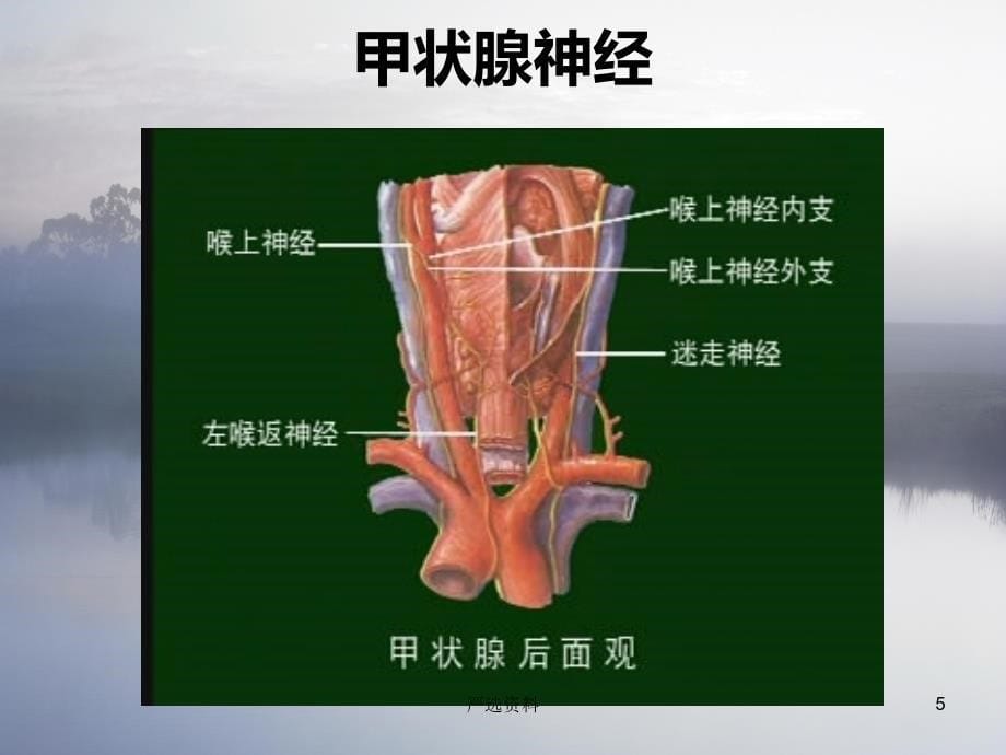 腔镜甲状腺术后病人的护理查房（行业荟萃）_第5页