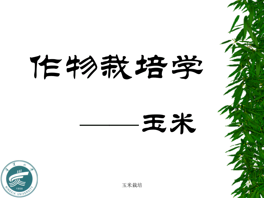 玉米栽培课件_第1页