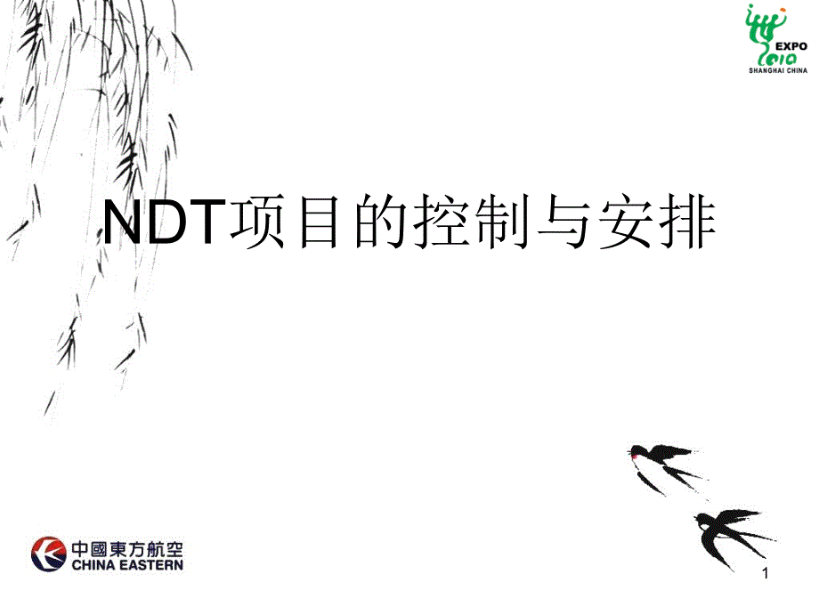 NDT项目的控制与安排_第1页