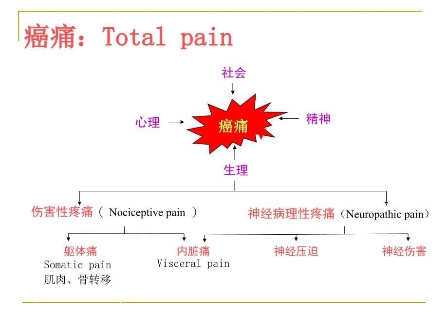 癌痛现代治疗的评述ucb ppt课件_第5页