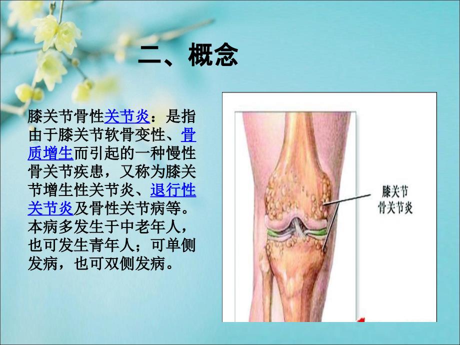 膝关节护理查房_第4页