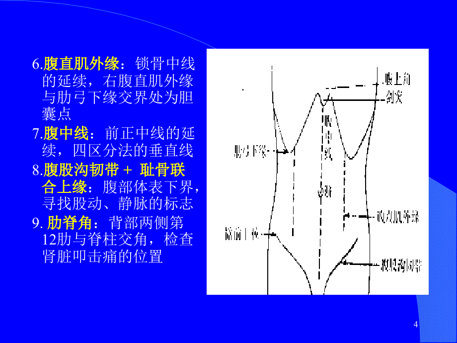 临床诊断学 常腹部检查_第4页