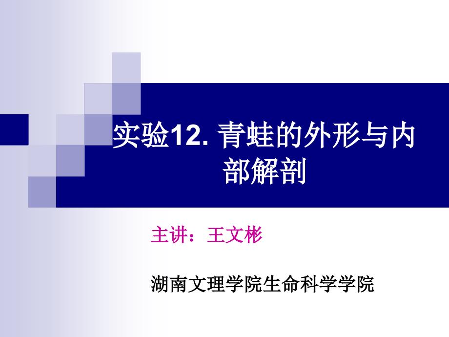 实验12.青蛙的外形与内部解剖.ppt_第1页