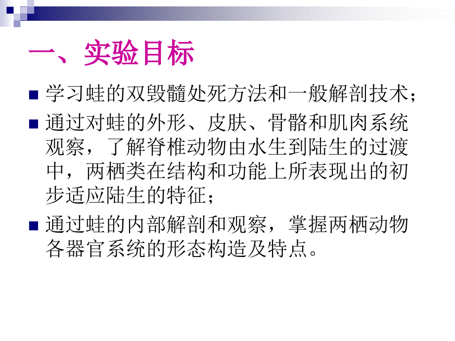 实验12.青蛙的外形与内部解剖.ppt_第2页