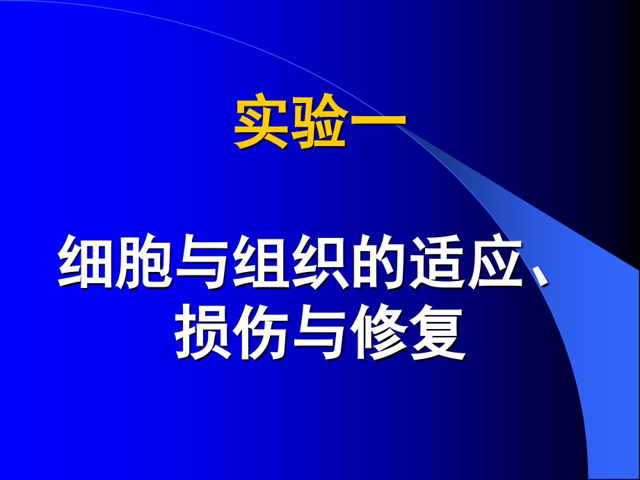 病理实验考：1 细胞与组织的适应损伤与修复_第4页