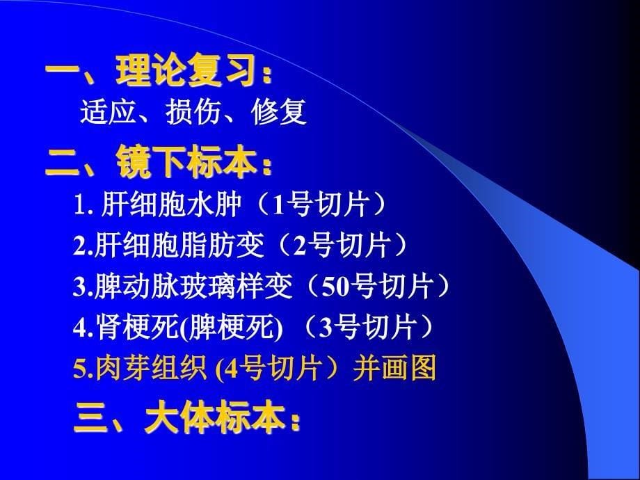 病理实验考：1 细胞与组织的适应损伤与修复_第5页