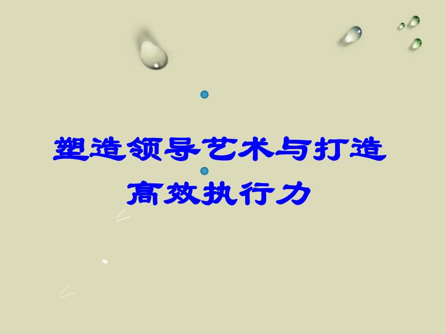 塑领导艺术与打造高效执行力_第1页