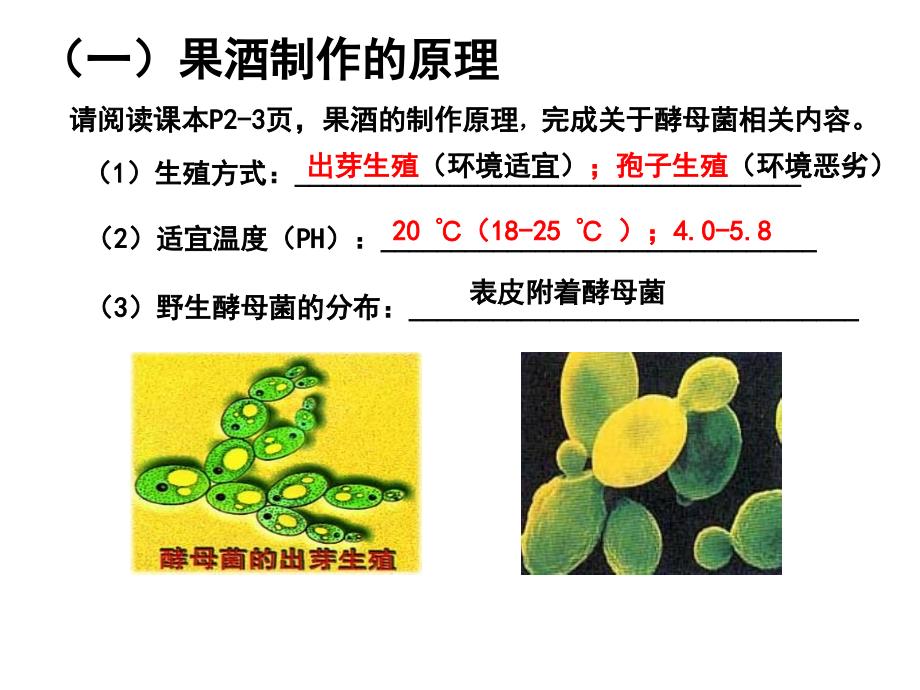 【实验】利用发酵法以果汁制作酒和醋_第4页