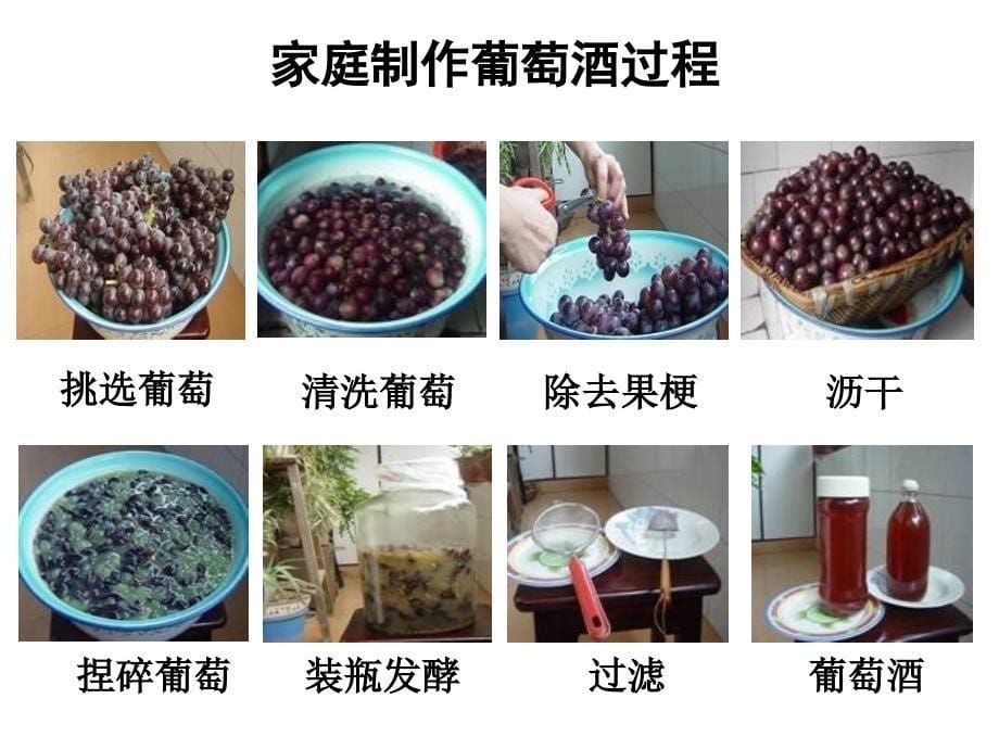 【实验】利用发酵法以果汁制作酒和醋_第5页