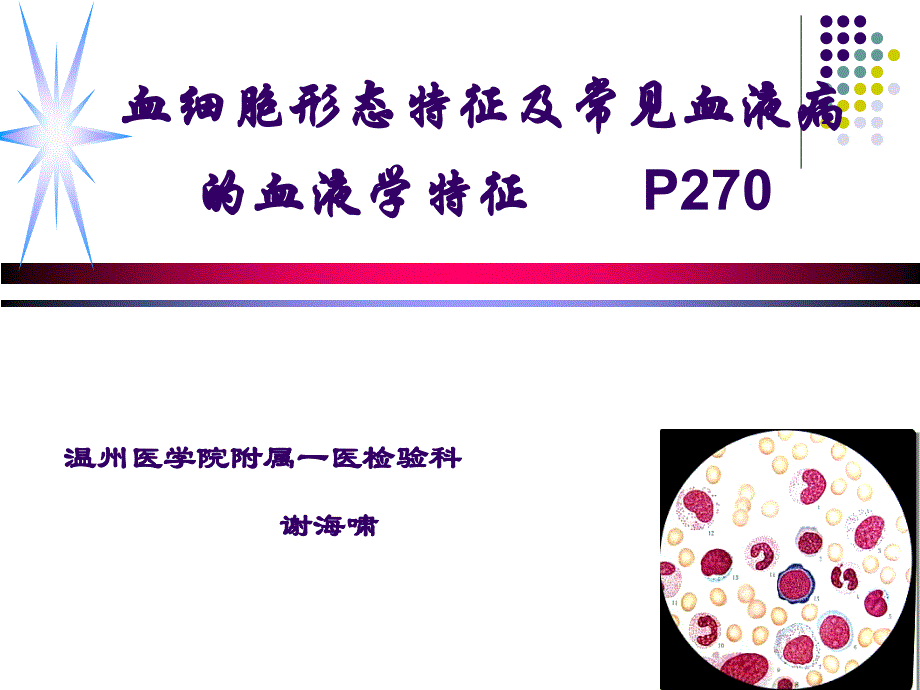 修改血细胞形态特征及常见血液病的血液学特征ppt课件_第1页