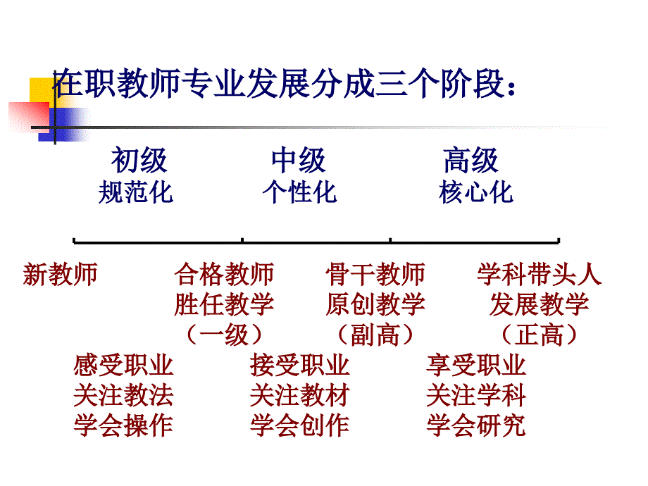 顾志跃：内涵发展中的教师专业素养_第4页