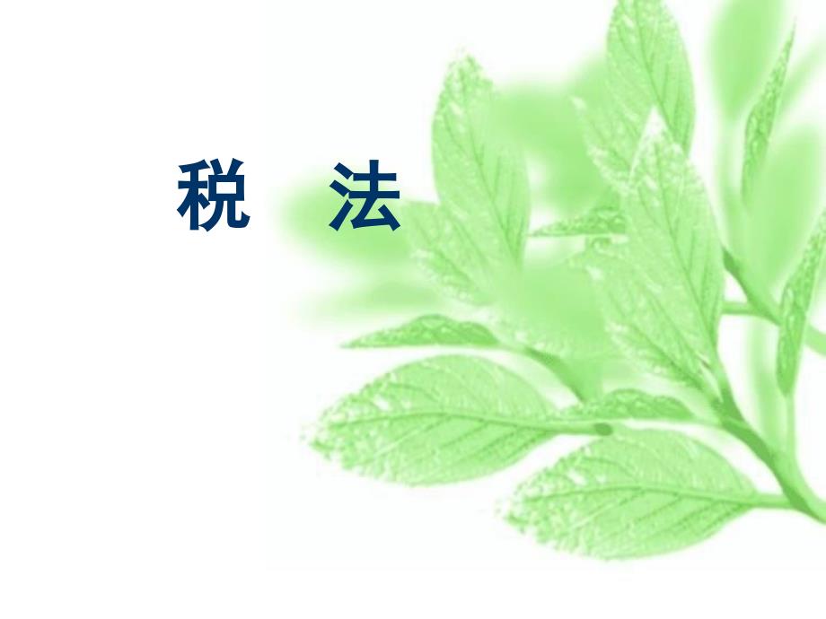 《消费税法》PPT课件_第1页