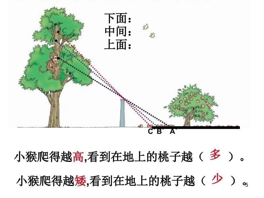 观察的范围北师大版数学六年级上册课堂PPT_第5页