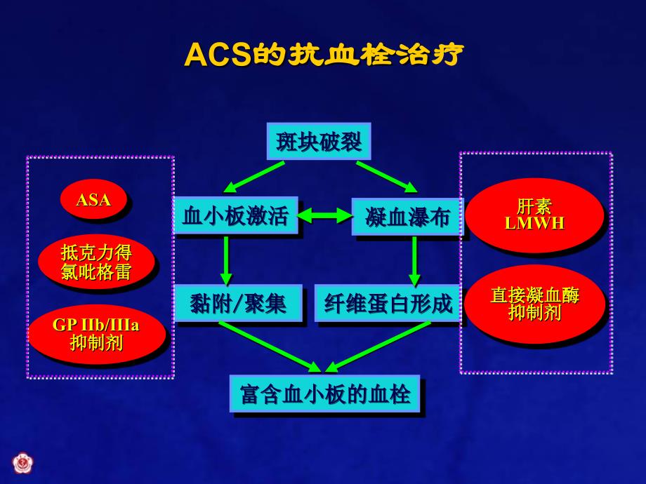 ACS更新指南中的抗栓治疗_第3页