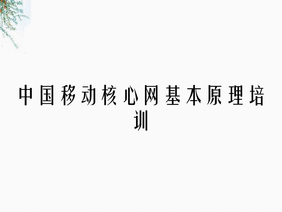 中国移动核心网基本原理培训_第1页