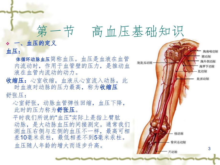 血压计基础知识培训.ppt_第3页