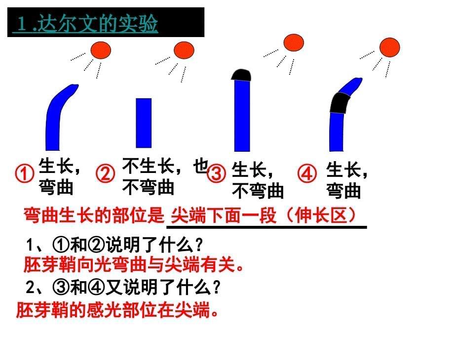 31植物生长素的发现_第5页