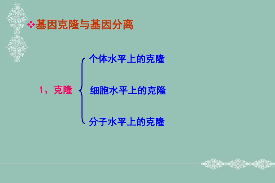 目的基因的克隆与分离鉴定2_第3页