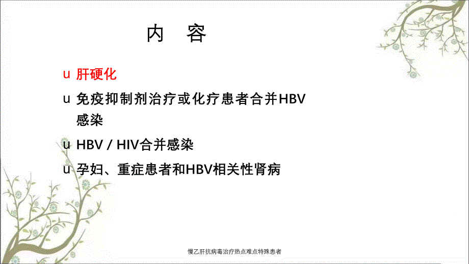 慢乙肝抗病毒治疗热点难点特殊患者课件_第2页