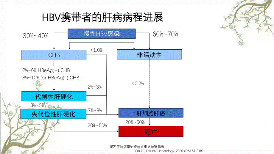 慢乙肝抗病毒治疗热点难点特殊患者课件_第3页