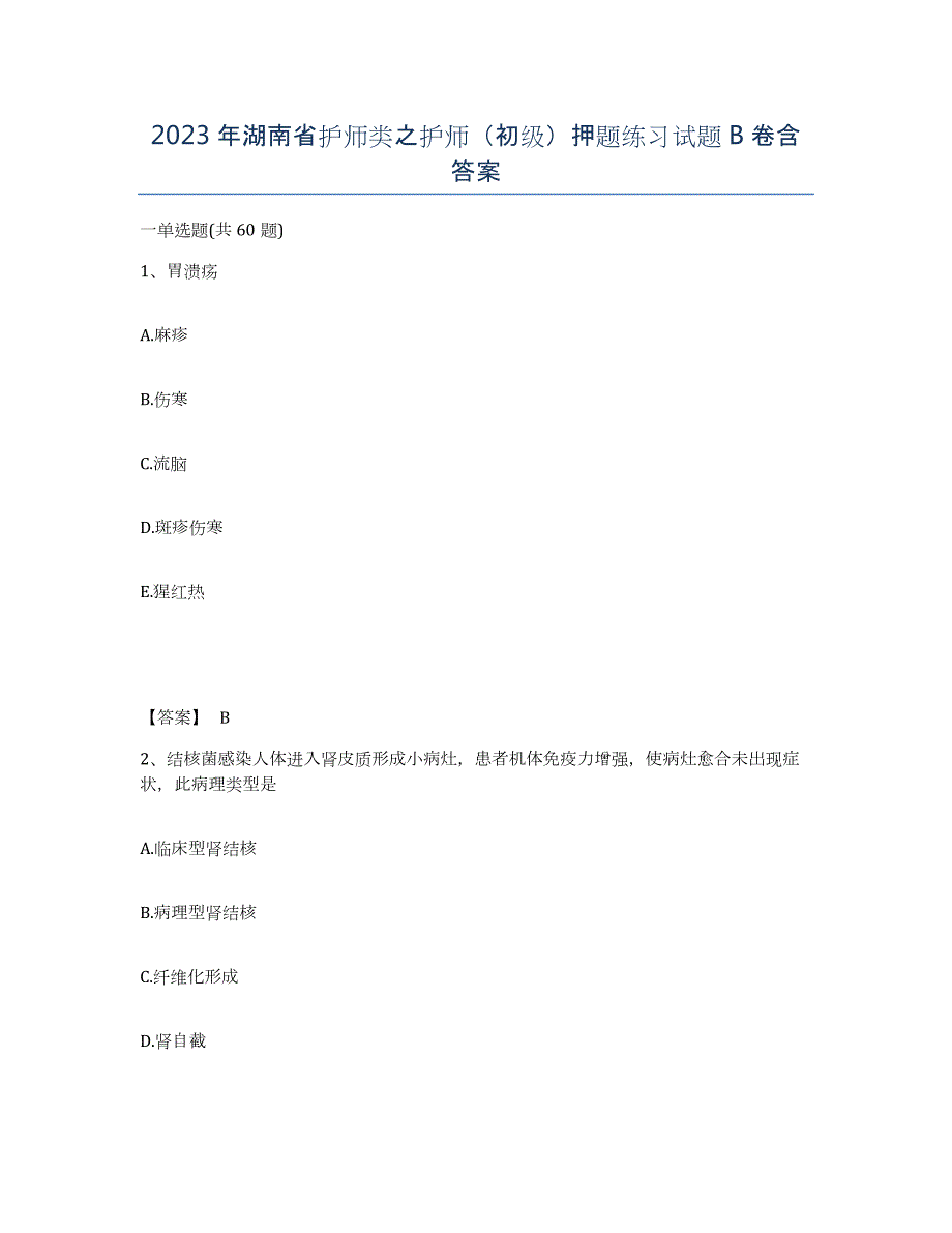 2023年湖南省护师类之护师（初级）押题练习试题B卷含答案_第1页
