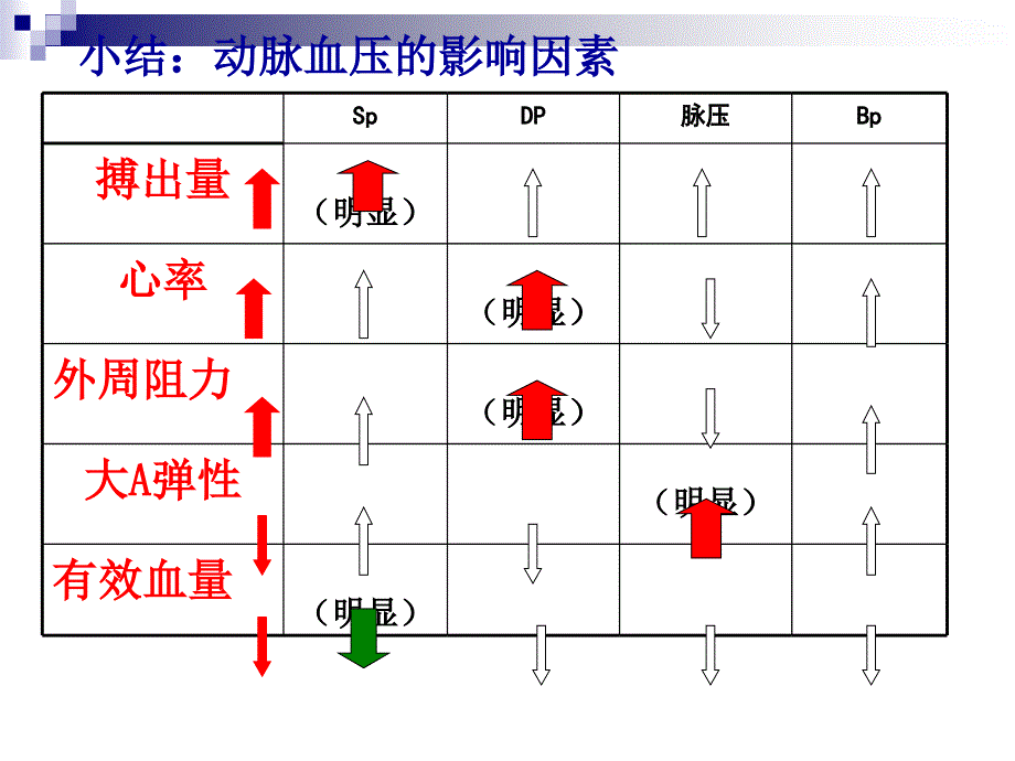 生理-循环系统-心血管功能的调节课件_第3页