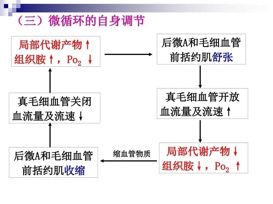 生理-循环系统-心血管功能的调节课件_第5页