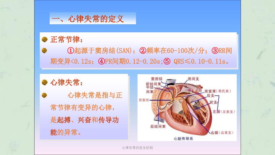 心律失常的发生机制课件_第2页