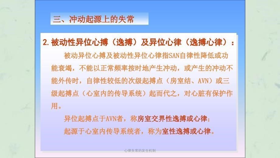 心律失常的发生机制课件_第5页